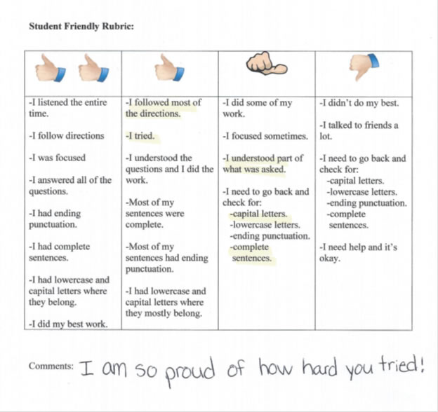 developing level student rubric